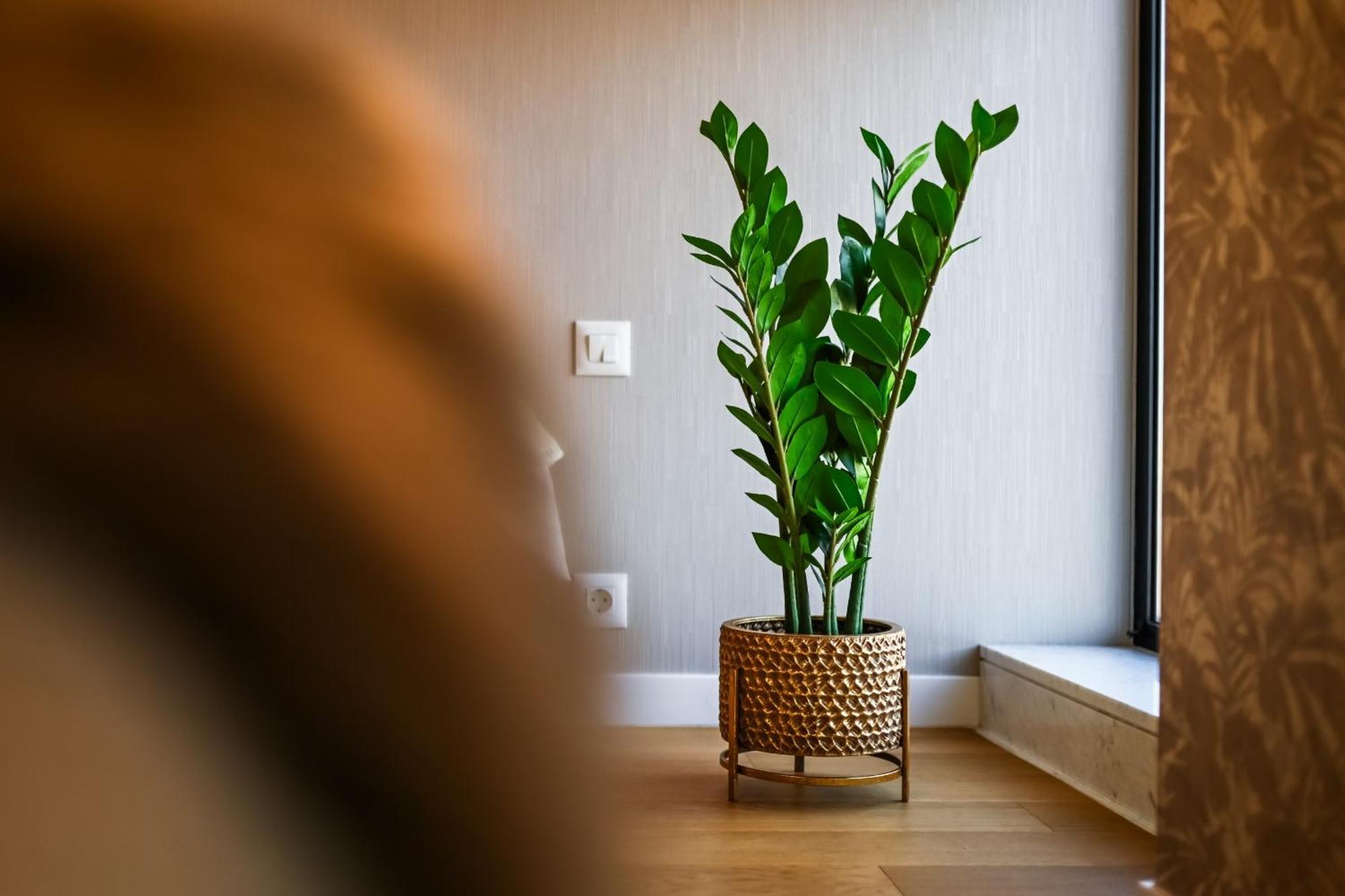 One Verdi Park Exclusive Apartments - Panoramic View & Private Parking Bucharest Room photo